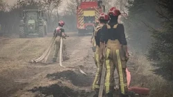 Bélgica combate enorme incêndio que avança em direção à Alemanha