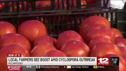 Cyclospora outbreak drives shoppers to farmers’ markets