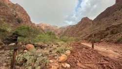 Body of 46-year-old man recovered after Grand Canyon flash flood, park service says