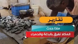 Al-Mukalla is Flooded with Baga and Hamra Fish.. What Happened?