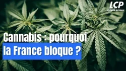Cannabis legalization: an impossible debate?