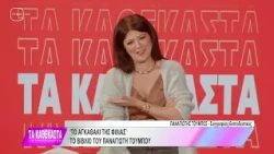 ΤΑ ΚΑΘΕΚΑΣΤΑ (TV100-08/05/26 - απόσπασμα)