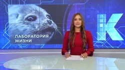 Kaliningrad News — Daily Roundup, August 26, 2026 Kaskad TV