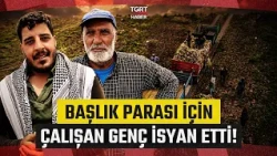 The Tragedy of a Family from Şanlıurfa: 3 Sons Unable to Marry Due to Bride Price! - TGRT News