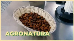 07/10/2026 - Agronatura