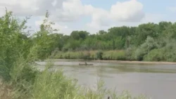 Dry Rio Grande could cause continued issues for wildlife and vegetation