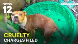 Dead pit bull found in trash can as rescuers uncover shocking animal neglect in NJ