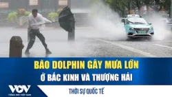 International News August 11 Evening: Typhoon Doksuri causes heavy rain in Beijing and Shanghai |...