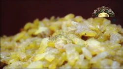 أغنية جرح الوطن - عنك وين يقولوا وين