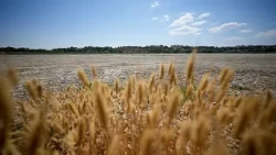 ‘Scorching, dry summers’: Heat rather than lack of rain is now to blame for Europe’s droughts