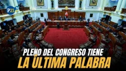 Luis Roel: “The Senate has the final say on legislative matters”