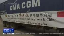 First batch of Poria cocos from the Republic of the Congo exported to China