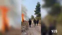 Maratea Fires Boat Port Vegetation 23 July