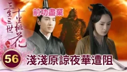夜華雨中苦等七天七夜 淺淺終於動了原諒之意 卻遭擎蒼破鐘打斷..【三生三世十里桃花】精華 EP56-3 楊冪、趙又廷、迪麗熱巴、高偉光、張智堯 @ctvdrama_classic