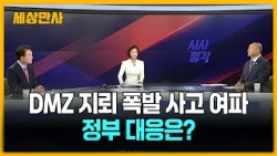 이 대통령 "철저한 조사로 투명하게 밝혀야"…정부 대응은? [세상만사] #이재명대통령 #정부대응 #DMZ지뢰폭발사고