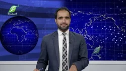 11-August- Pashto News پښتوخبري ټولګه