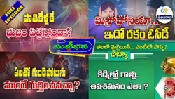 Sukhibhava | 1st September 2026 | Full Episode | ETV Telangana