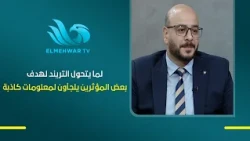 Dr. Mohamed Hamza: The Trend Craze Drives Some Influencers to Spread Lies for More Engagement