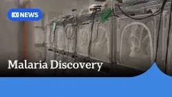 Researchers develop malaria drug that targets parasite and might create immunity | ABC NEWS