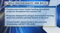 Summer and Fall events at Tanglewood Nature Center announced