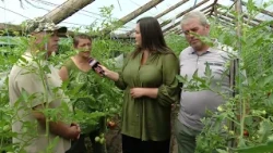 Fermierii români au ajuns la capătul puterilor