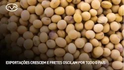 Exportações crescem e fretes oscilam por todo o país