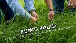 More grass, more milk: The secret of Nitrosoil with XperTech Technology - TvAgro by Juan Gonzalo ...