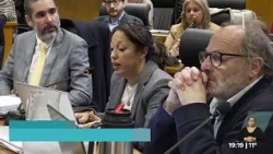 Minister of Industry, Energy and Mining, Fernanda Cardona, appeared in Parliament this Tuesday.