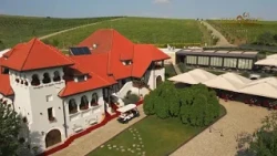 Casa Timis
