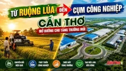 From Rice Fields to Industrial Clusters: Can Tho Paves the Way for New Growth | CT-TDT