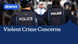 Sydney residents seek clarity as gangland war becomes political issue | ABC NEWS