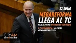 Opposition takes mega-reform to Constitutional Court as storm hits thousands of SMEs