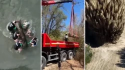 Slovacchia, nel Danubio riaffiora mina di 700 chili della seconda guerra mondiale: fatta brillare