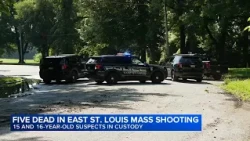 7 family members shot, 5 killed in southern Illinois; 2 teen suspects in custody, state police say