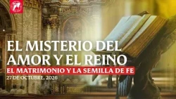 Readings and Homily - 10/27/2026 - Deacon Gerald