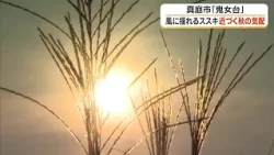 Signs of Autumn in Northern Okayama: Silver Grass Swaying in the Wind Taller Than a Person at Kib...