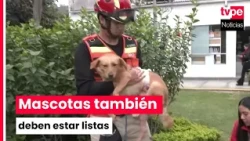 Pets