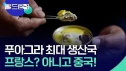 China Overtakes France as the World’s Top Foie Gras Producer [World 24/Behind the News] / KBS 07....