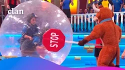Human hamsters racing in the Grand Prix: falls inside giant balls! 😂