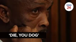 'Die, you dog': Cat Matlala trial hears of AK-47 ambush on taxi boss Joe 'Ferrari' | News24
