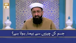 Jism Kin Cheezon Se Bimaar Hota Hai? - Muti Muhammad Sohail Raza Amjadi