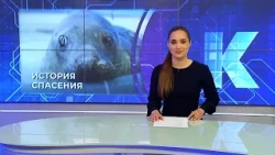 Новости Калининграда — итоги дня, 19 июня 2026 каскад тв