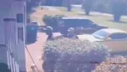 MLGW investigator fatally shoots dog that charged at him in north Shelby County, SCSO says