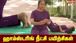 ஹாம்ஸ்டரிங் நீட்சி பயிற்சிகள் | Dhinam Oru Yoga | Vasanth TV