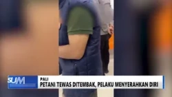 SUMSEL HARI INI - PETANI TEWAS DITEMBAK, PELAKU MENYERAHAN DIRI