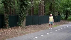 Fencing in the forest near Bennekom
