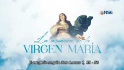 Gospel 📖 commentary August 15🕊️