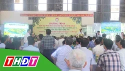 Xã Tân Long: Đổi mới tư duy, nâng cao giá trị nông nghiệp | THDT