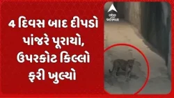 Junagadh Leopard | આખરે પાંજરે પૂરાયો દીપડો! ઉપરકોટ કિલ્લો ફરી પર્યટકો માટે ખુલ્લો મુકાયો