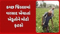 Kutch Farmer News | કચ્છ જિલ્લામાં વરસાદ ખેંચાતાં ખેડૂતોને મોટો ફટકો